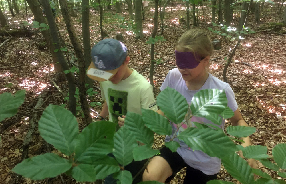 Führen und vertrauen